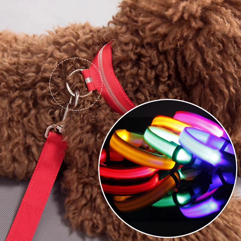 LED Dog Collar