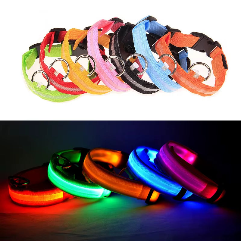 LED Dog Collar