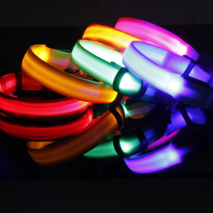 LED Dog Collar