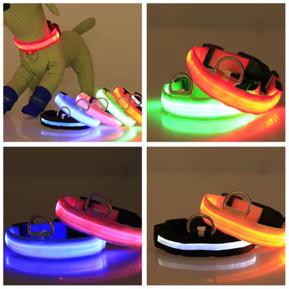 LED Dog Collar