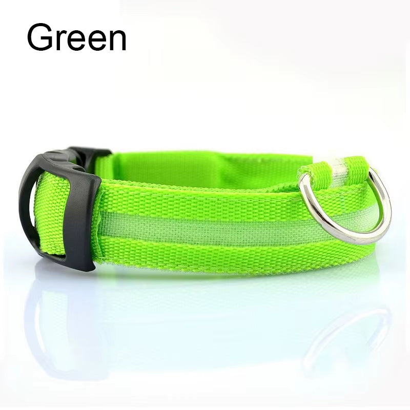 LED Dog Collar