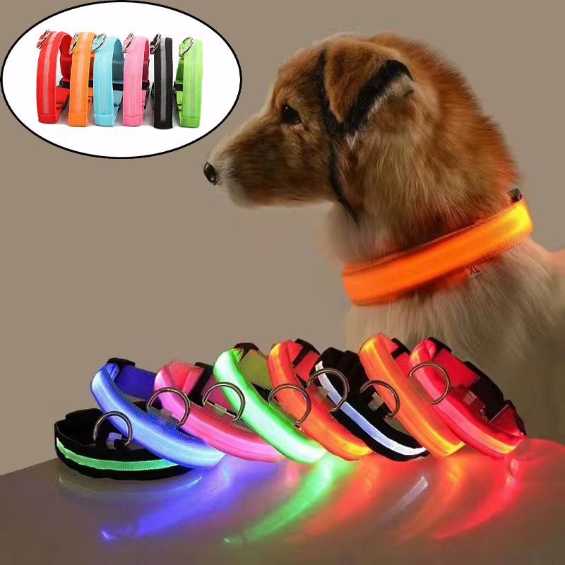 LED Dog Collar